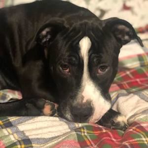 Meet your Posher, Jo